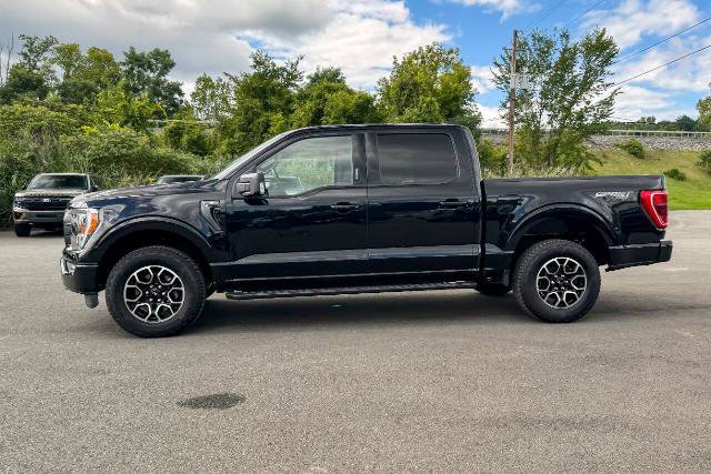 Certified 2023 Ford F150 XLT w/ Equipment Group 302A High AWD/4WD image 6