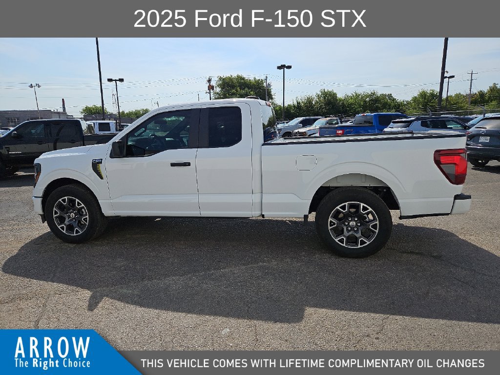 Certified 2025 Ford F150 STX w/ Equipment Group 200A RWD image 7