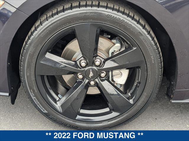 Certified 2022 Ford Mustang EcoBoost Fastback w/ Equipment Group 101A image 9