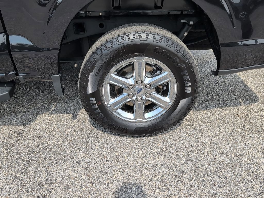 Certified 2025 Ford F150 XLT w/ Equipment Group 301A Standard image 13