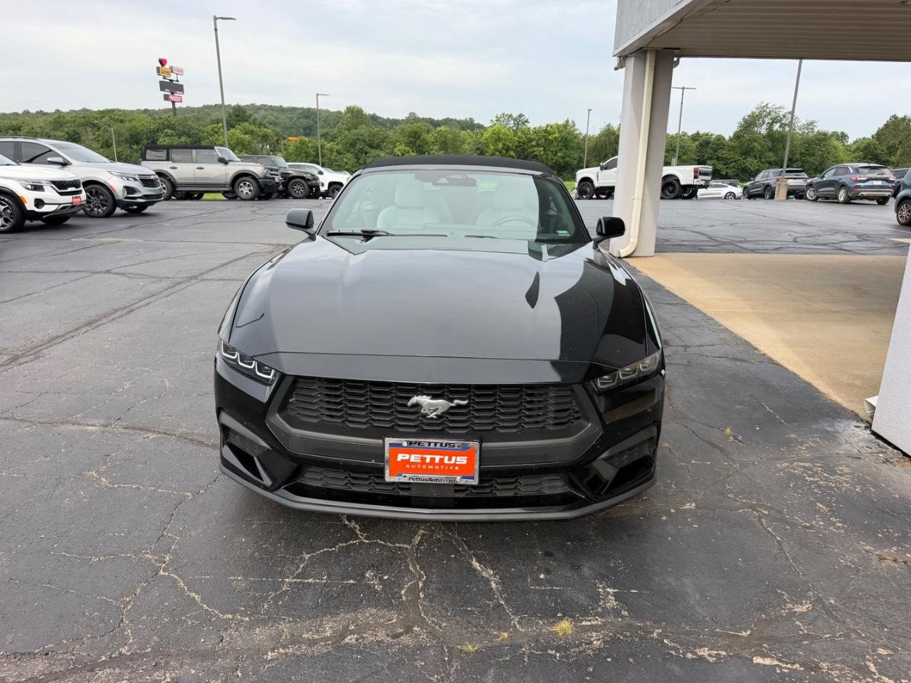 Certified 2024 Ford Mustang Premium RWD image 8
