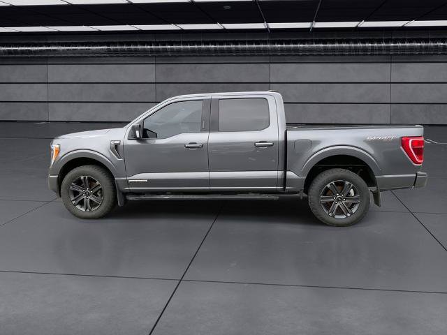 Certified 2023 Ford F150 XLT w/ Equipment Group 302A High AWD/4WD image 9