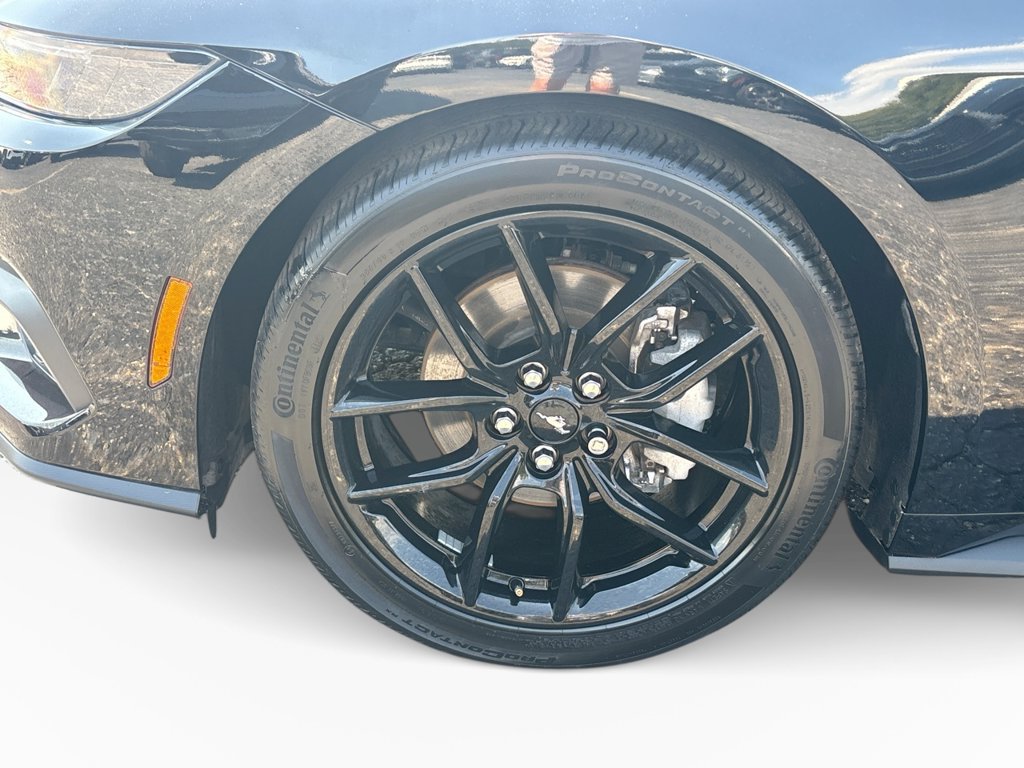 Certified 2024 Ford Mustang Premium RWD image 14