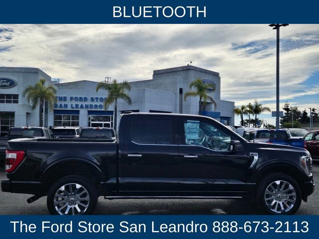 Certified 2023 Ford F150 Limited image 3