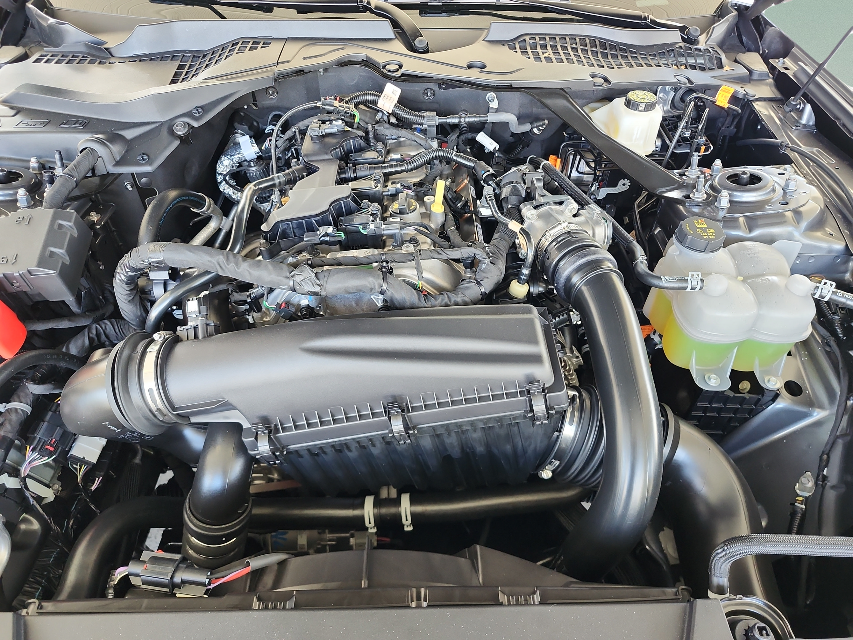 Certified 2026 Ford Mustang Premium RWD image 21