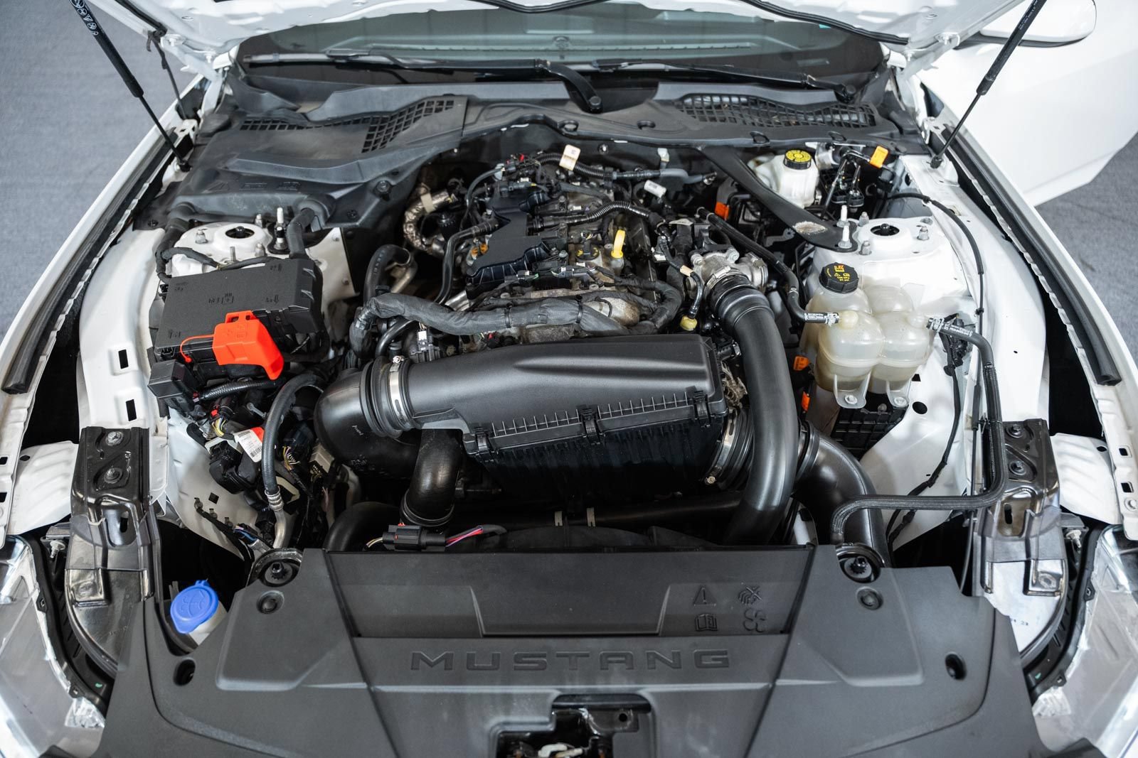 Certified 2024 Ford Mustang Premium RWD image 14