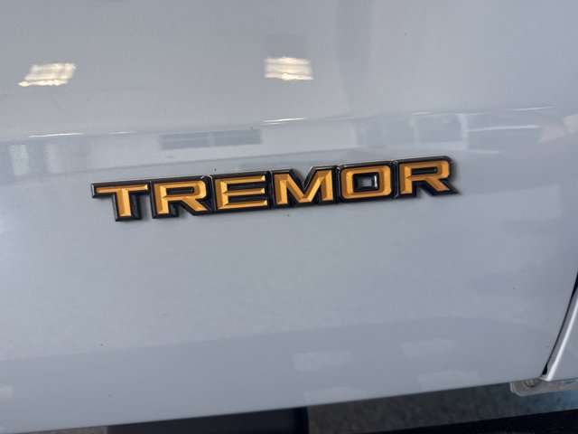 Certified 2025 Ford Expedition Tremor AWD/4WD image 18