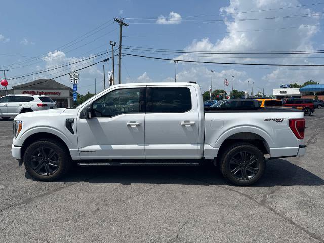 Certified 2023 Ford F150 XLT w/ Equipment Group 302A High AWD/4WD image 8