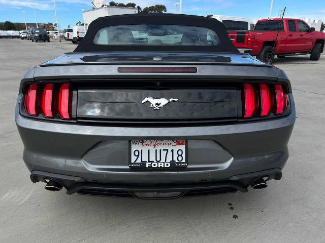 Certified 2023 Ford Mustang Premium w/ Equipment Group 201A image 8