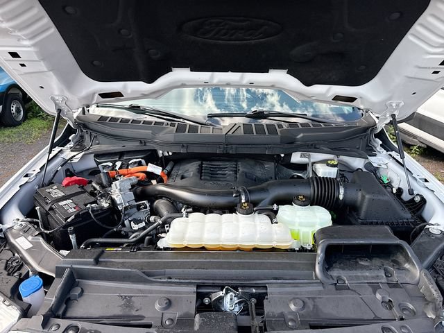 Certified 2023 Ford F150 XLT w/ Equipment Group 302A High AWD/4WD image 38