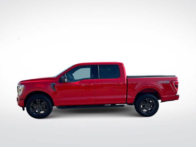 Certified 2021 Ford F150 XLT w/ Equipment Group 302A High AWD/4WD image 5