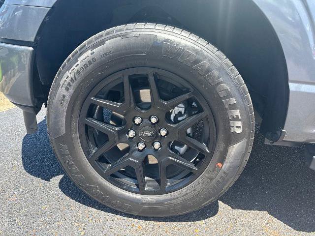 Certified 2024 Ford F150 STX w/ STX Black Appearance Package RWD image 11