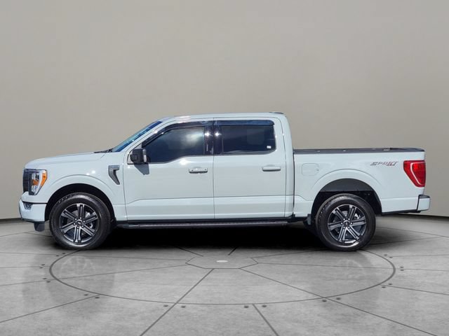 Certified 2023 Ford F150 XLT w/ Equipment Group 302A High AWD/4WD image 9