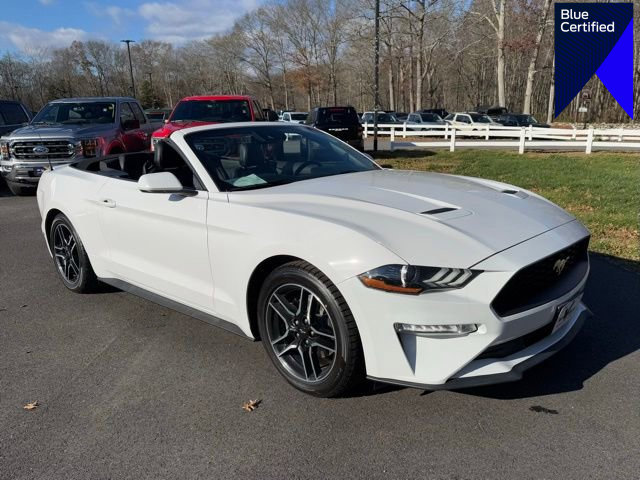 Certified 2021 Ford Mustang Premium image 1