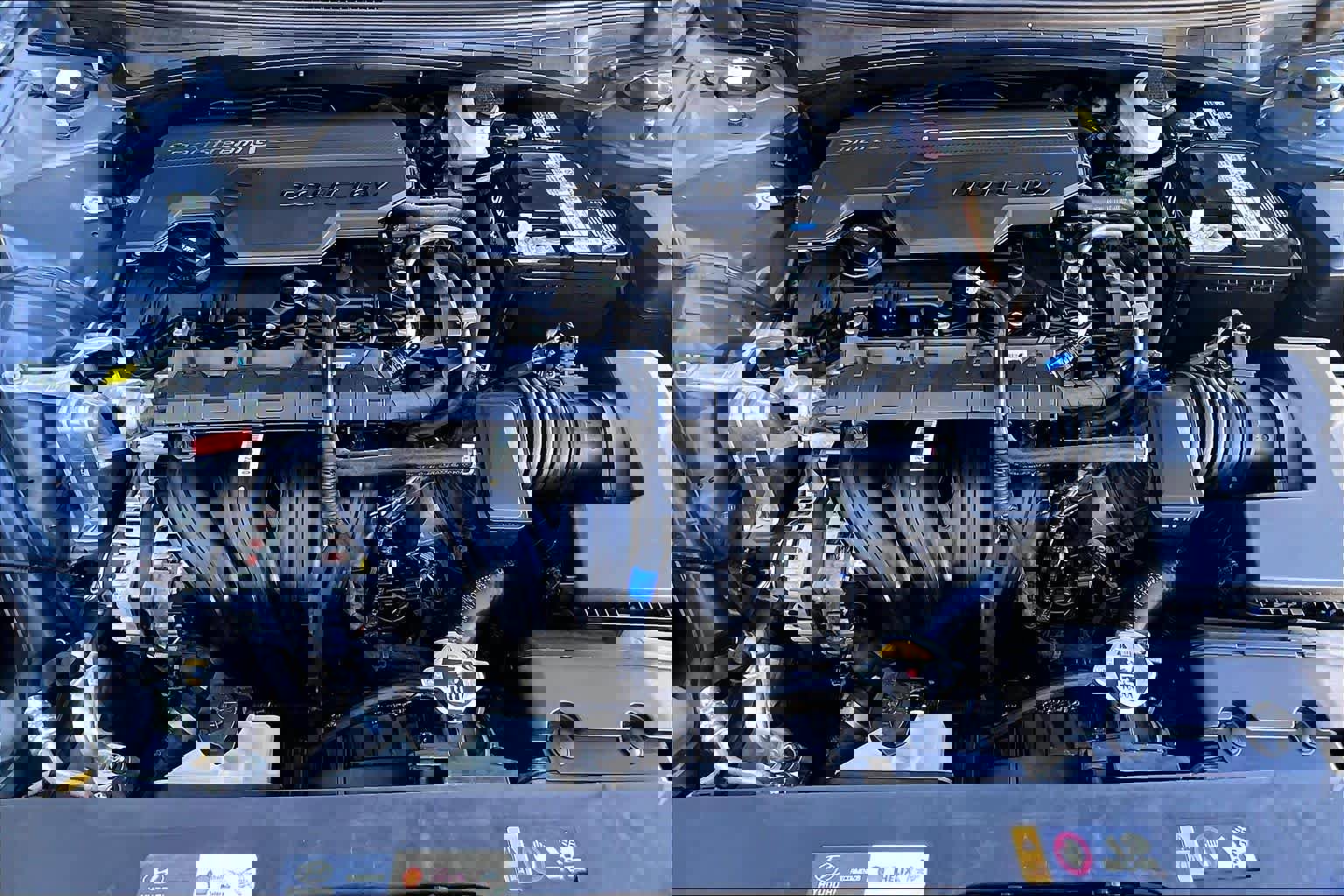 Used 2022 Hyundai Elantra SEL w/ Convenience + Premium Package image 36