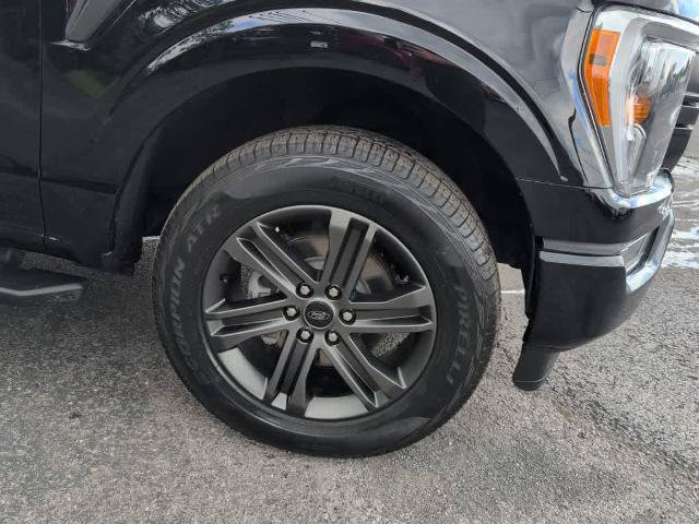 Certified 2021 Ford F150 XLT w/ Equipment Group 302A High AWD/4WD image 4