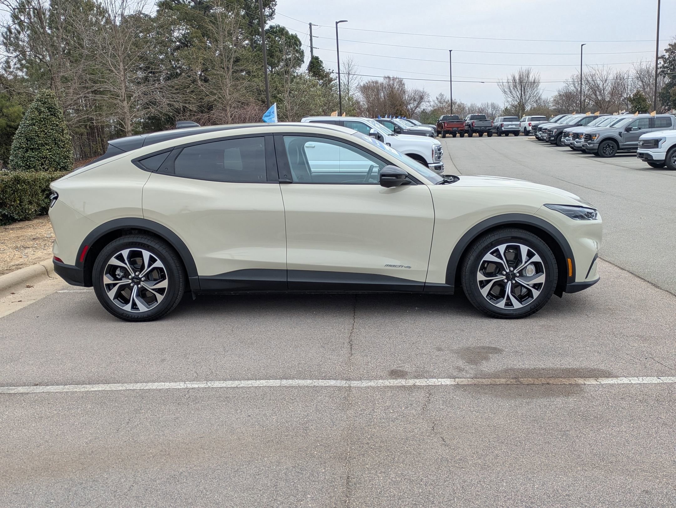 Certified 2025 Ford Mustang Mach-E Select w/ Comfort Package Lite image 7