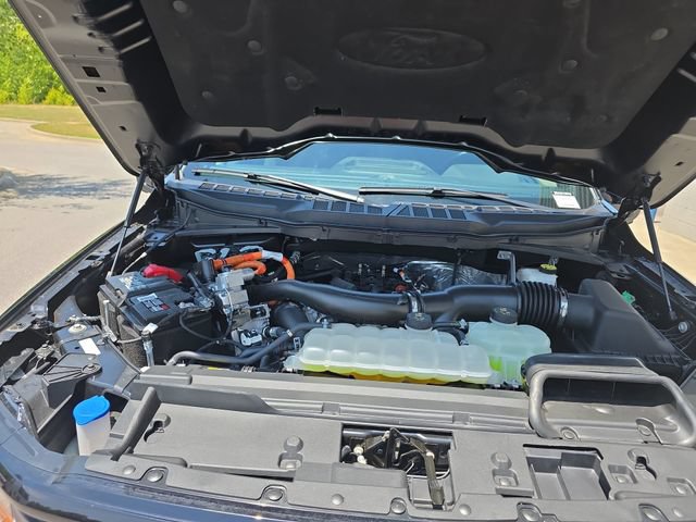Certified 2024 Ford F150 XLT w/ Equipment Group 302A MID AWD/4WD image 31