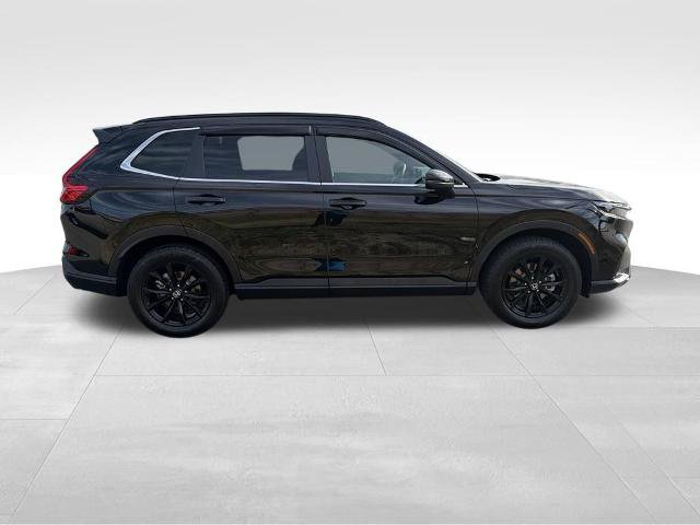 Used 2025 Honda CR-V Sport image 6
