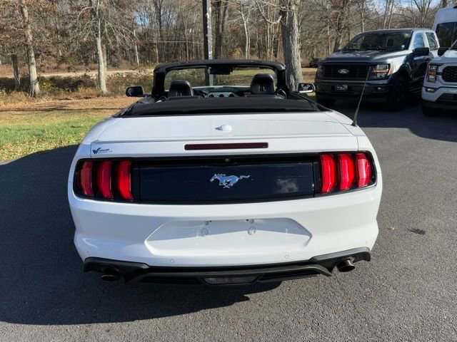 Certified 2021 Ford Mustang Premium image 5