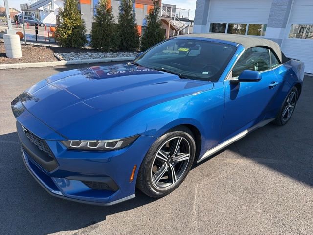 Certified 2024 Ford Mustang Premium image 10