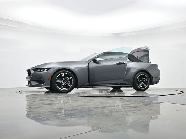 Certified 2024 Ford Mustang Premium image 14