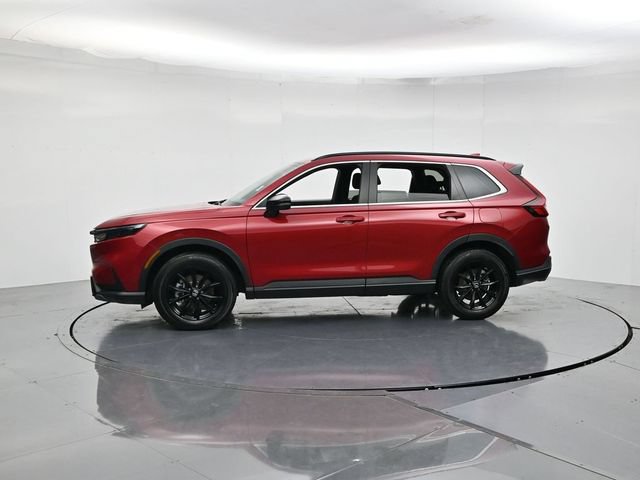 Used 2025 Honda CR-V Sport image 6