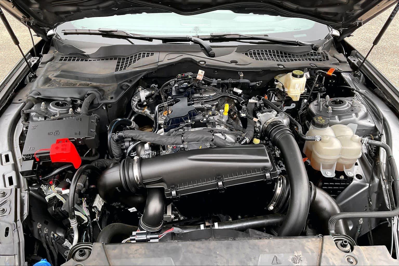 Certified 2024 Ford Mustang Premium RWD image 27