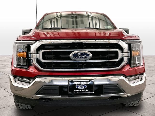 Certified 2022 Ford F150 XLT w/ Equipment Group 302A High AWD/4WD image 3