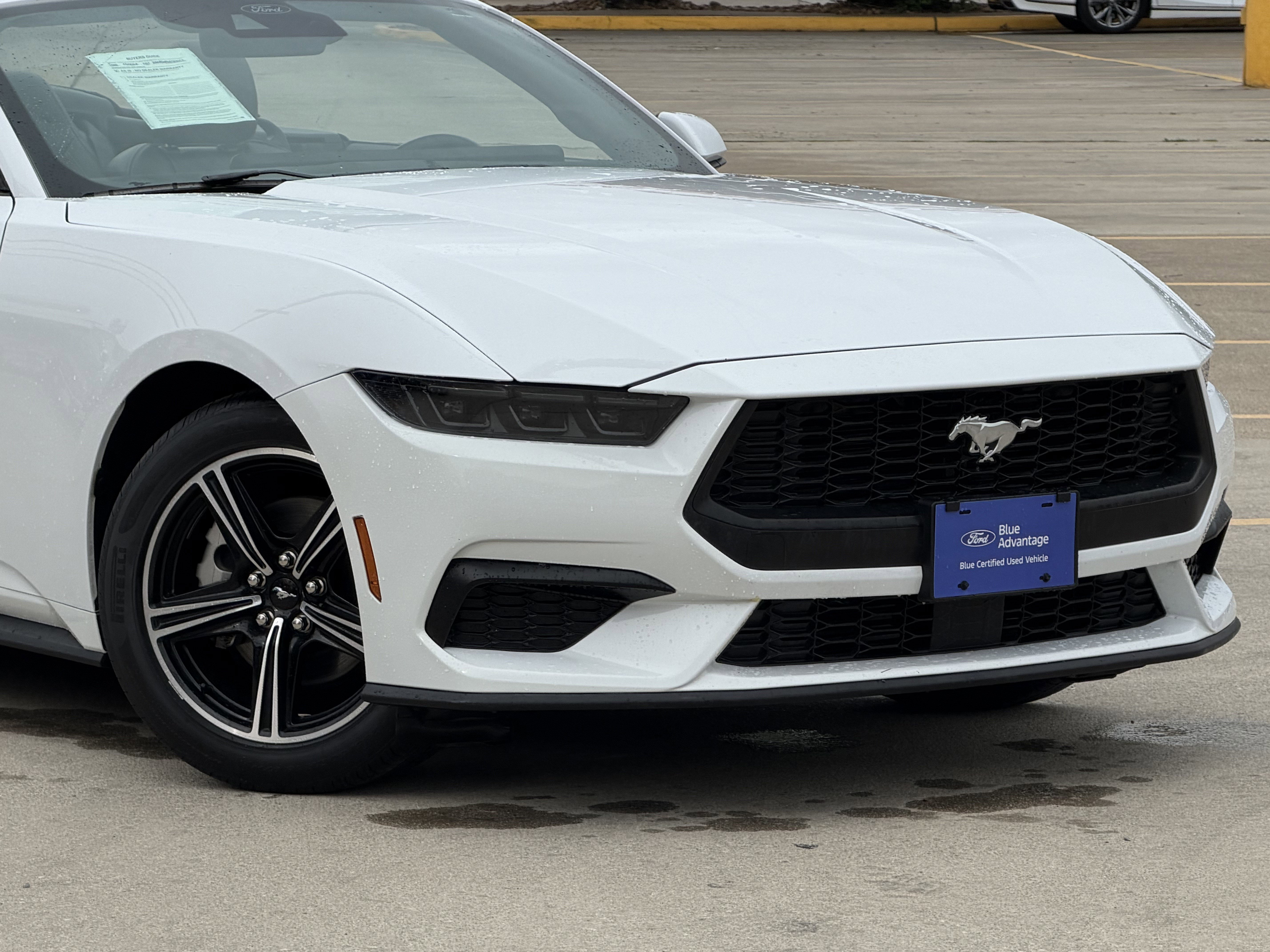 Certified 2025 Ford Mustang Premium RWD image 2