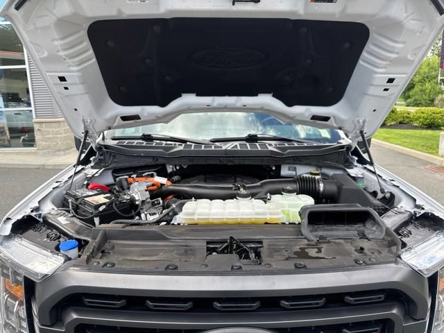 Certified 2023 Ford F150 XLT w/ Equipment Group 302A High AWD/4WD image 18