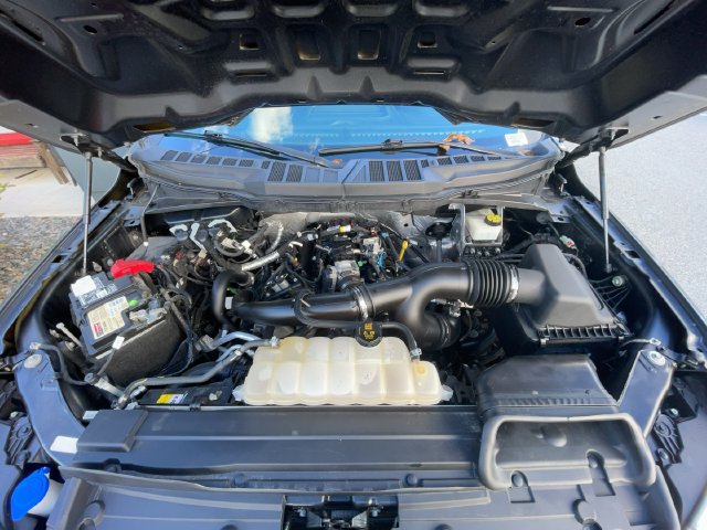 Certified 2021 Ford F150 XL w/ STX Appearance Package AWD/4WD image 10