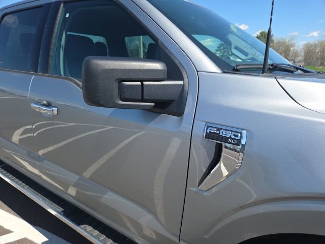 Certified 2025 Ford F150 XLT w/ Equipment Group 301A Standard image 5