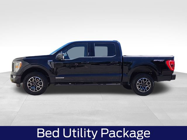 Certified 2023 Ford F150 XLT w/ Equipment Group 302A High AWD/4WD image 7