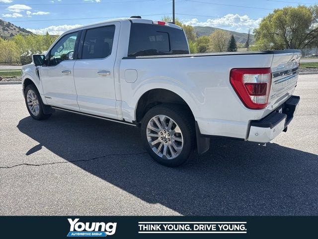 Certified 2023 Ford F150 Limited AWD/4WD image 4