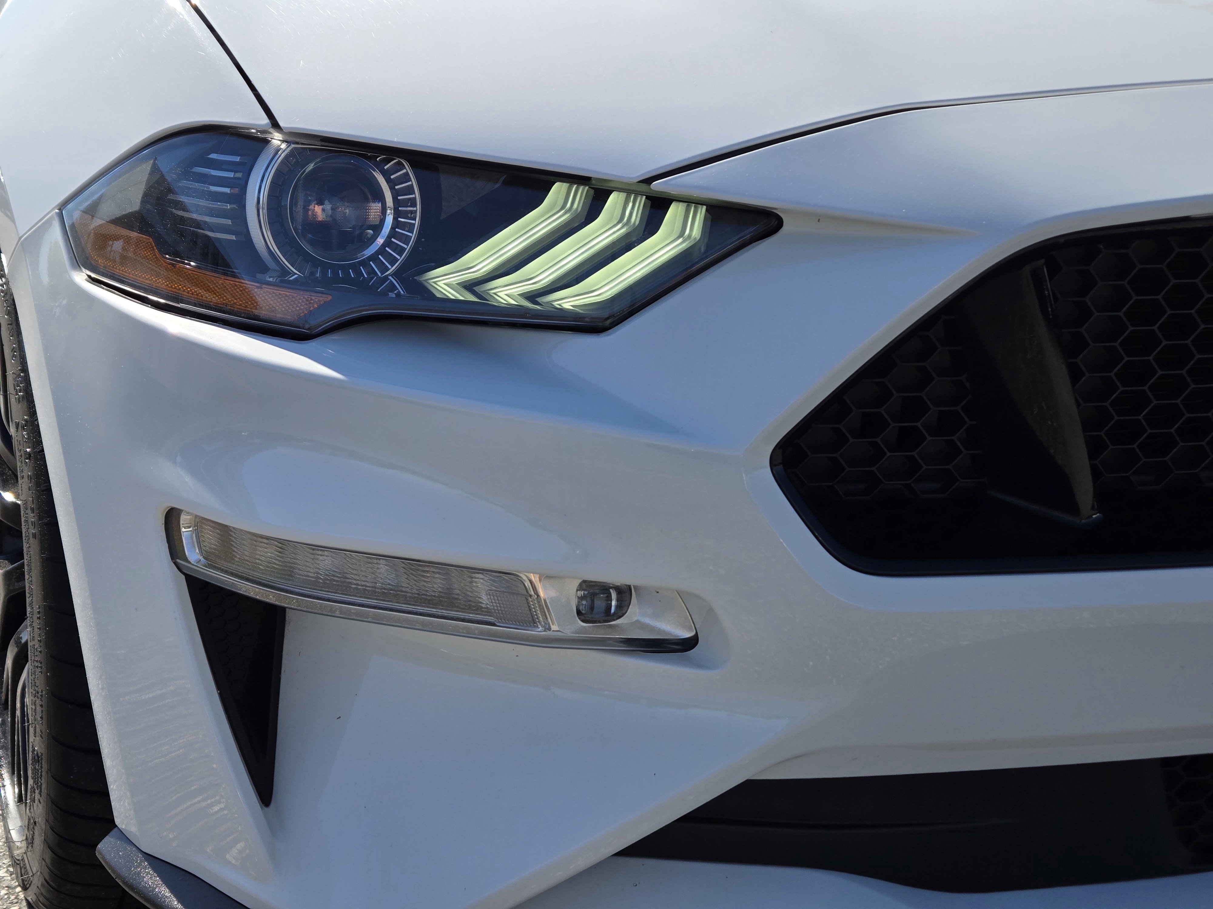 Certified 2019 Ford Mustang GT Premium w/ GT Performance Package image 10