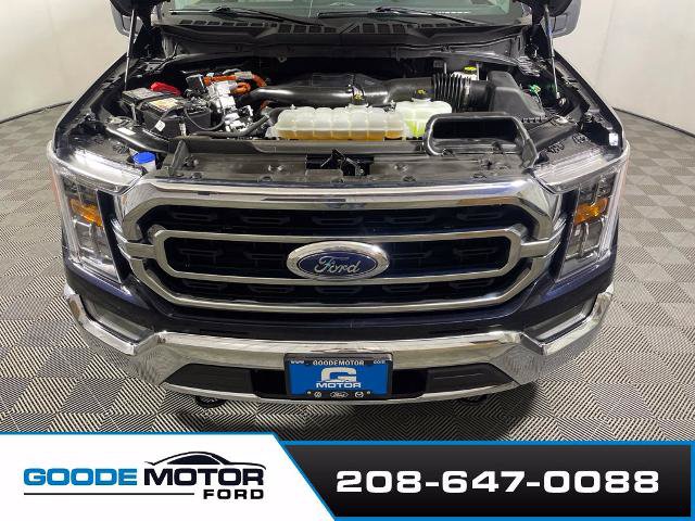 Certified 2023 Ford F150 XLT w/ Equipment Group 302A High AWD/4WD image 26