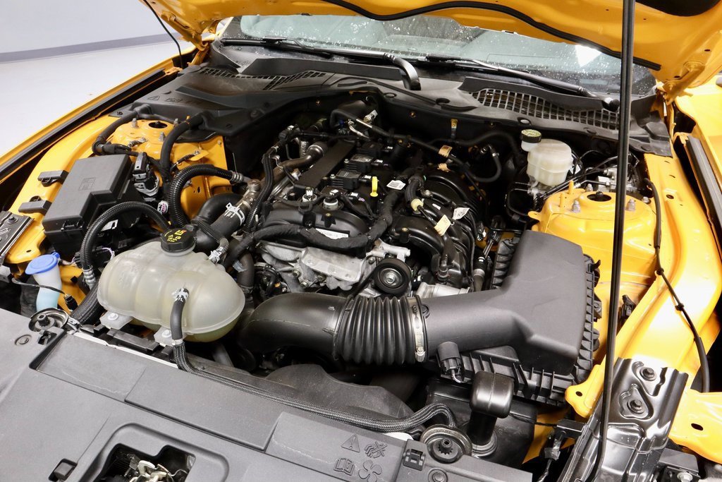 Certified 2022 Ford Mustang Coupe w/ Equipment Group 101A image 15