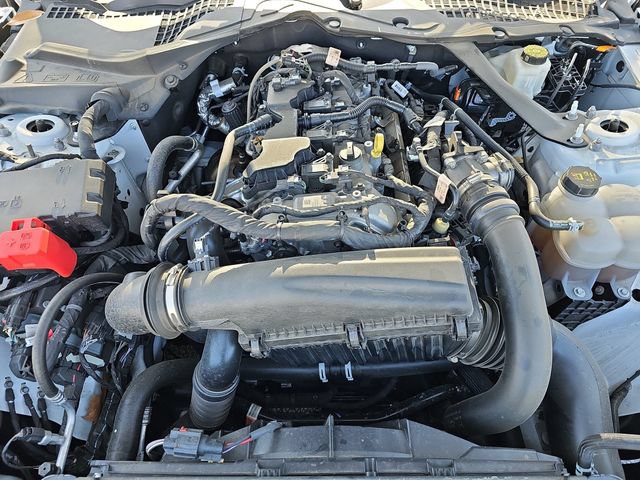 Certified 2024 Ford Mustang Premium RWD image 33