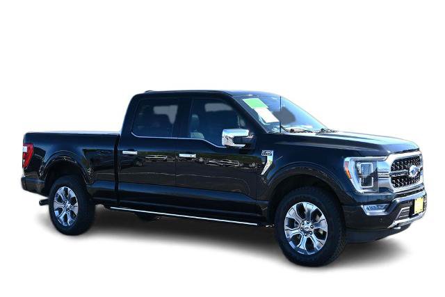 Certified 2021 Ford F150 Platinum w/ Equipment Group 701A High AWD/4WD image 3