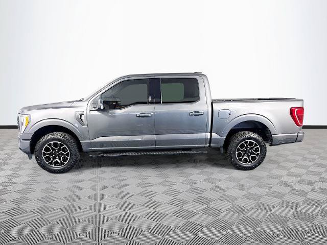 Certified 2023 Ford F150 XLT w/ Equipment Group 302A High AWD/4WD image 4