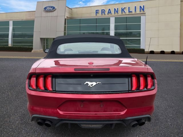 Certified 2022 Ford Mustang EcoBoost w/ Equipment Group 101A image 4