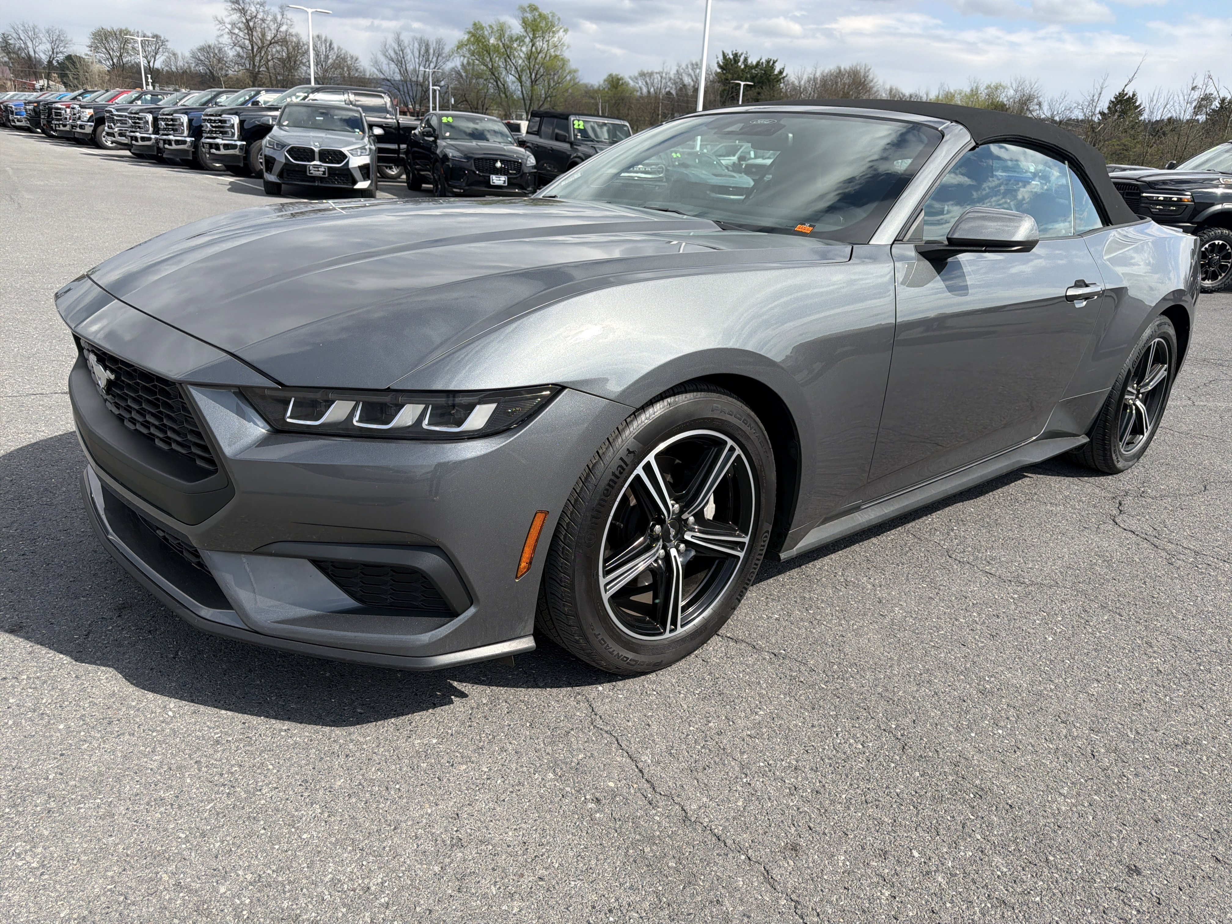 Certified 2025 Ford Mustang Premium RWD image 8