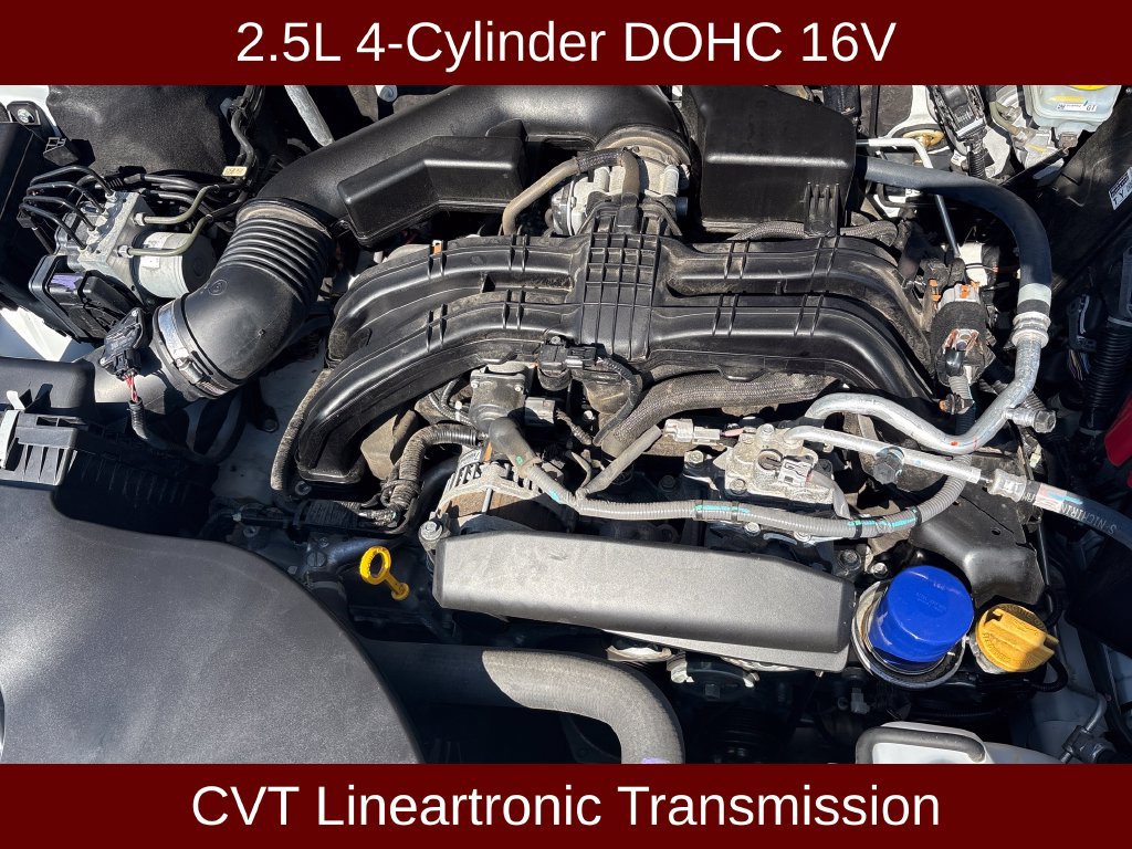 Used 2024 Subaru Outback Premium AWD/4WD image 3