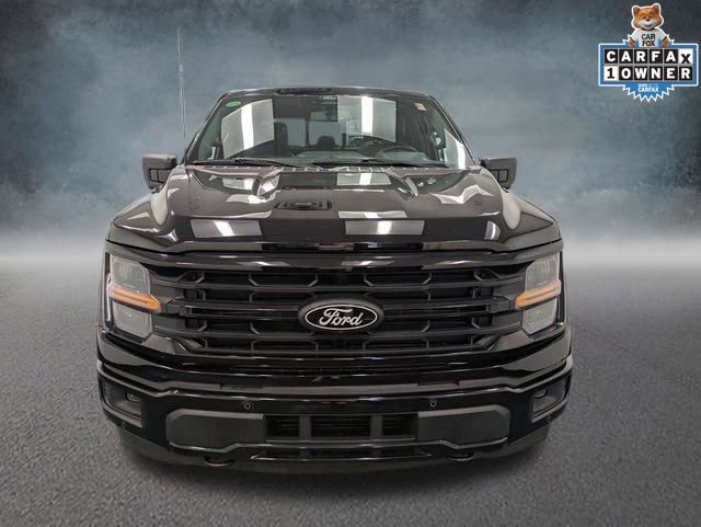 Certified 2024 Ford F150 XLT w/ Equipment Group 303A High image 6