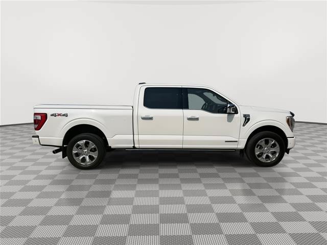 Certified 2022 Ford F150 Platinum w/ Equipment Group 701A High AWD/4WD image 6