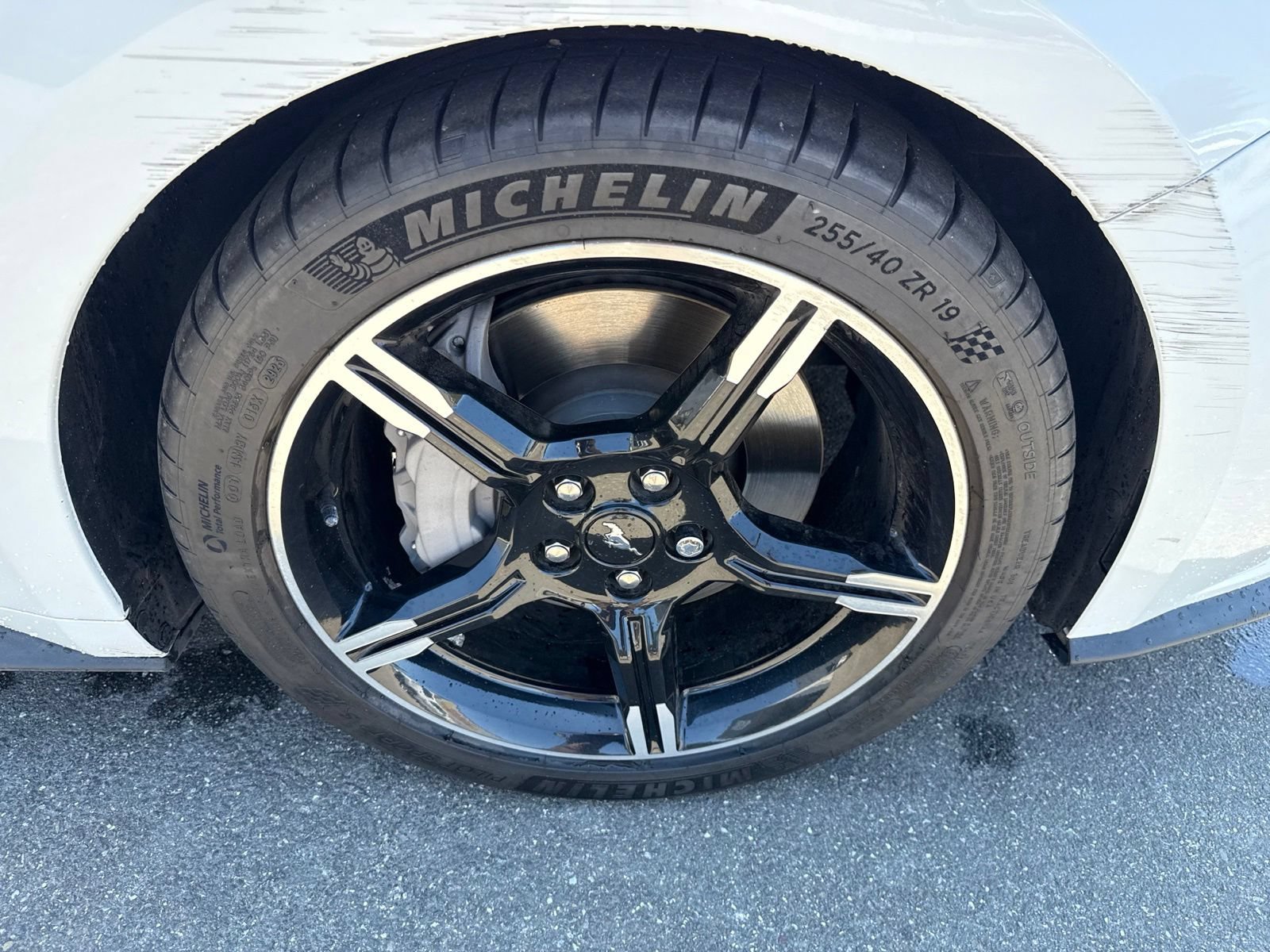 Certified 2019 Ford Mustang GT Premium w/ California Special Package RWD image 21