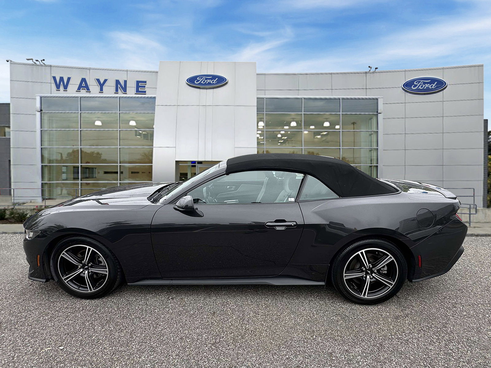 Certified 2024 Ford Mustang Premium RWD image 7