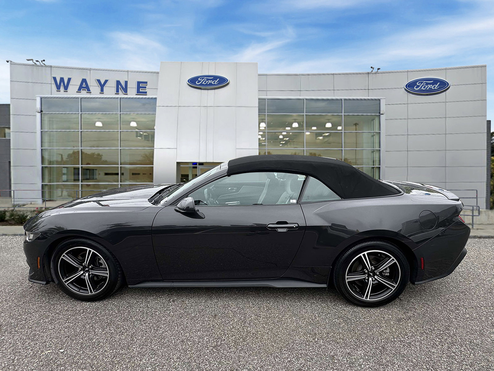 Certified 2024 Ford Mustang Premium RWD image 7
