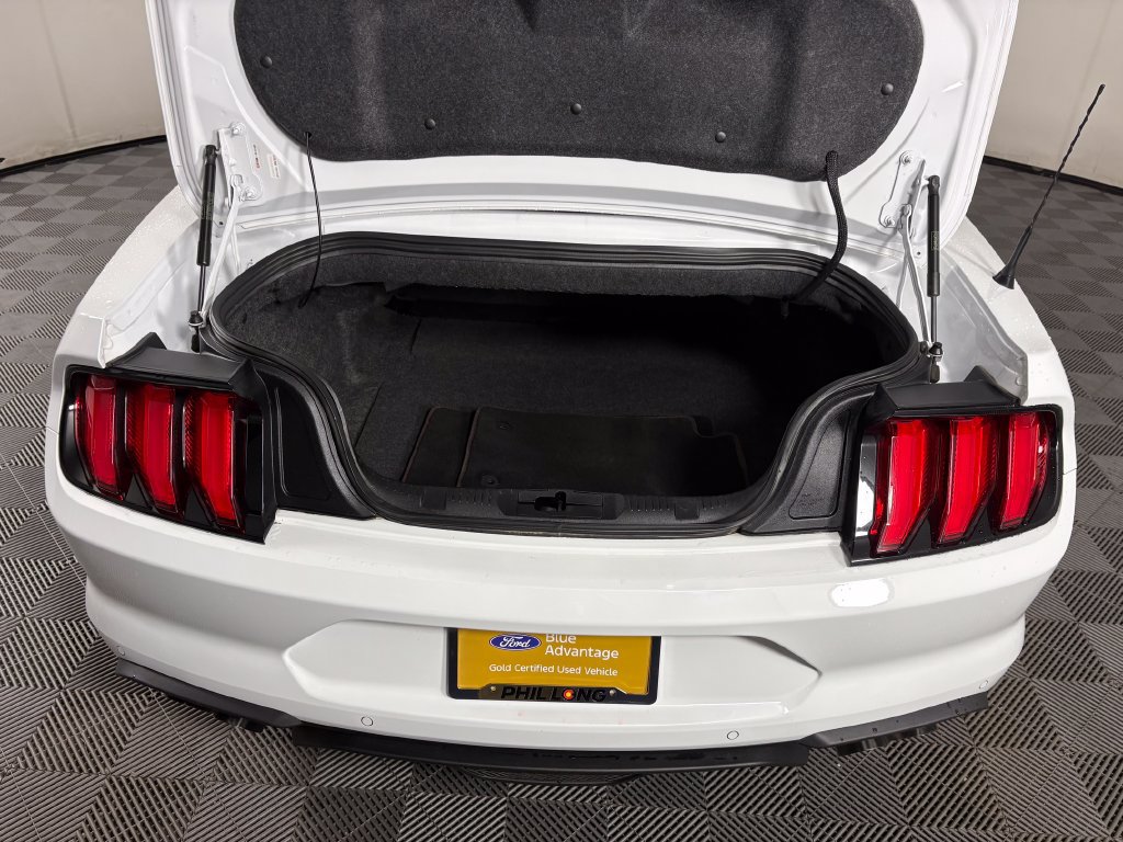 Certified 2022 Ford Mustang GT Premium w/ GT Performance Package RWD image 29